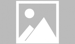 食物链视频,探寻生态系统中能量流转的奇妙旅程